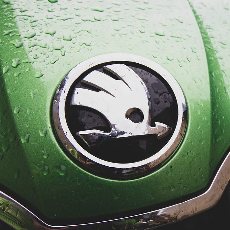 Logo marki Skoda