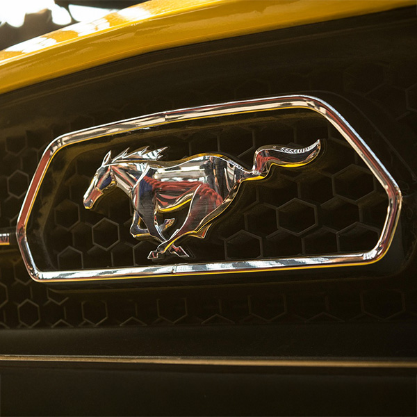 Logo Mustang Serwis Łódź